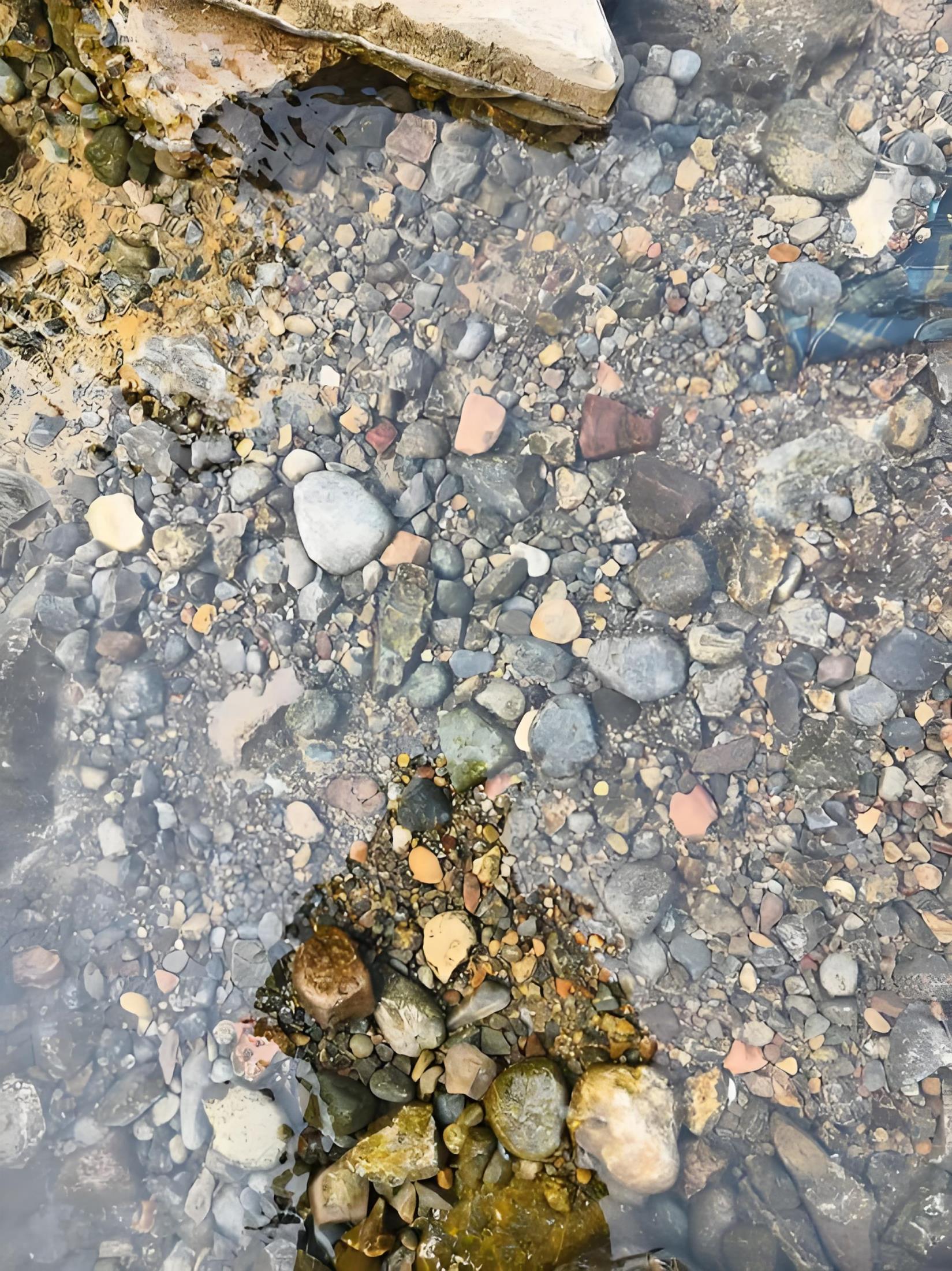 How to treat river water for drinking?