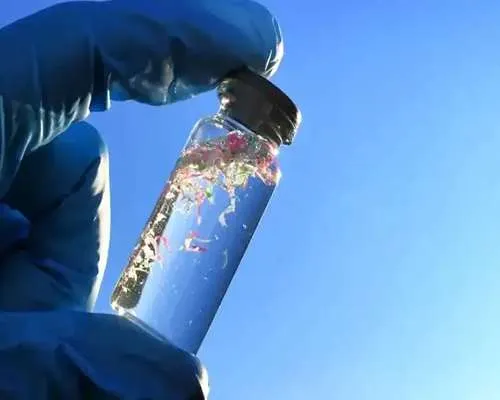 Microplastics diagram