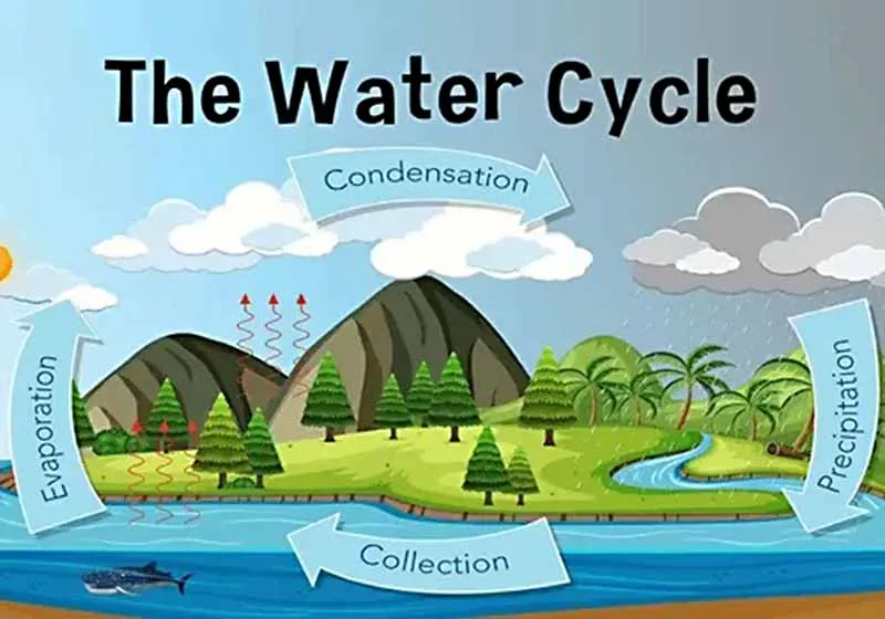 Simple Diagram of the Water Cycle